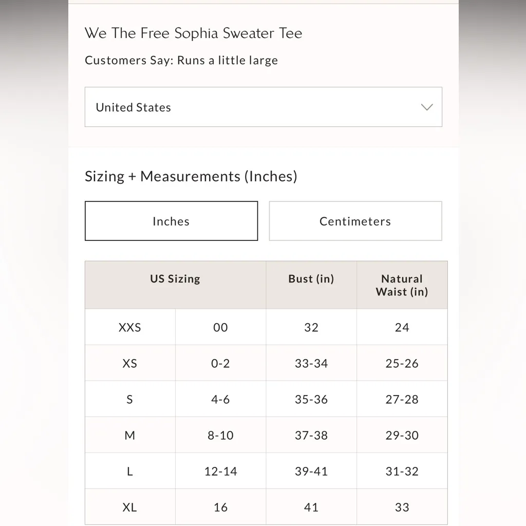 NWT Free People Sophia Sweater Tee in Ocean Palalce - Image 4