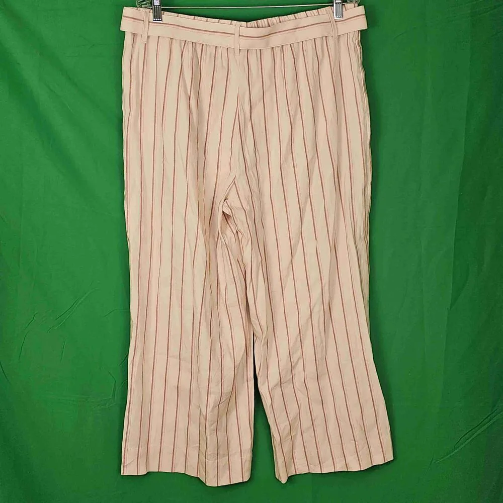 NWT J Jill Womens Barleymult Striped Linen Blend‎ Wide Leg Pants Large Tan - Image 2