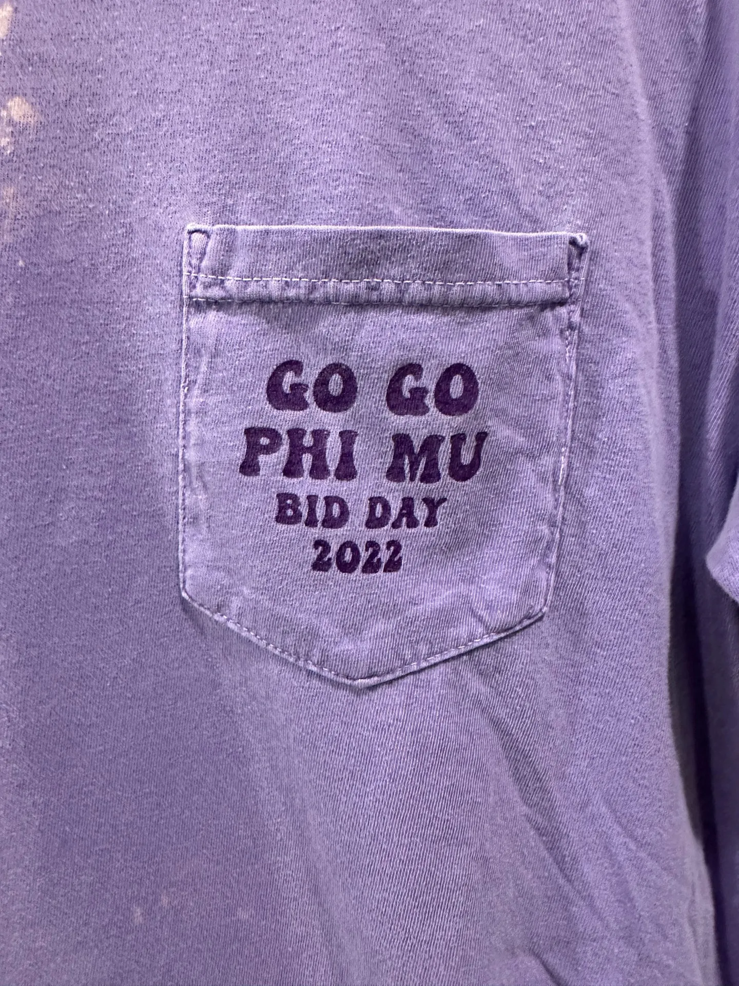 Comfort Colors Go Go Phi Mu Bid Day Tee - Image 3