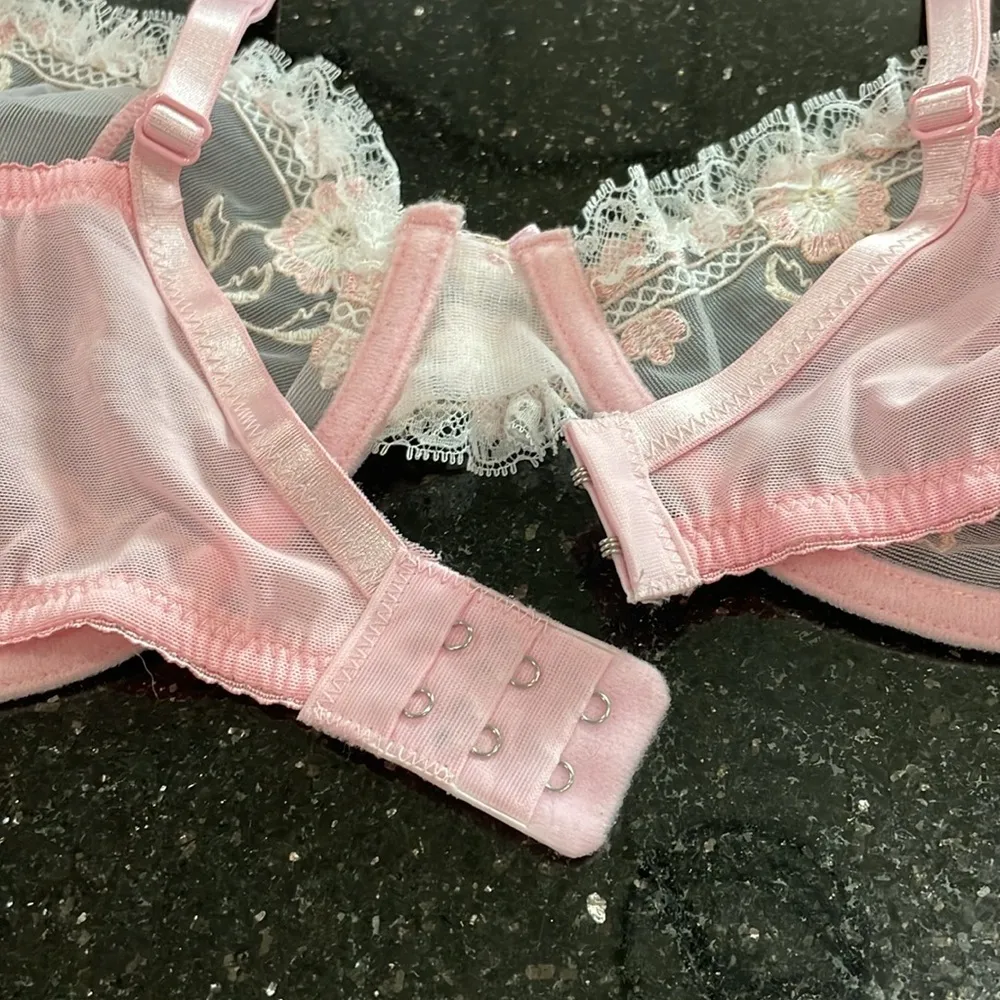 Vogue's Secret Pink Sheer Mesh Lace Trim Embroidered Underwire Bra 42E Size undefined - Image 6