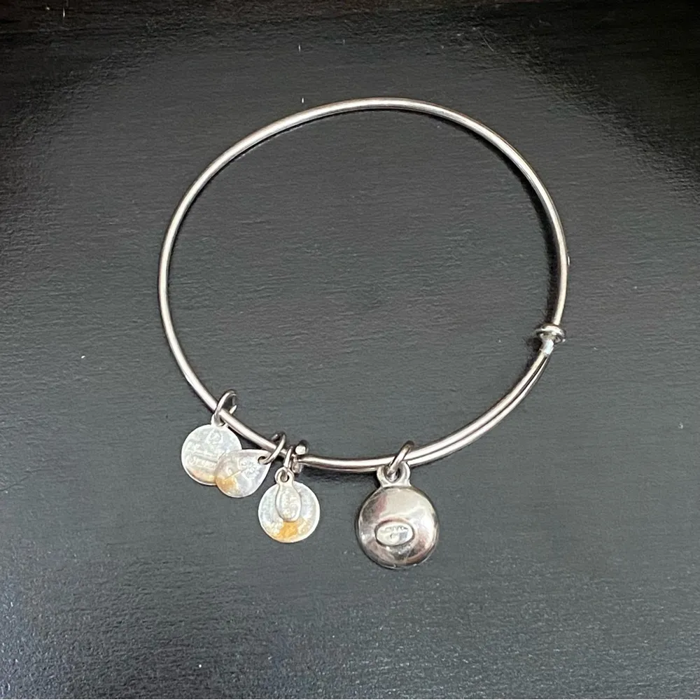 ALEX and ANI July Birthstone Ruby Charm Bangle Bracelet - Image 7