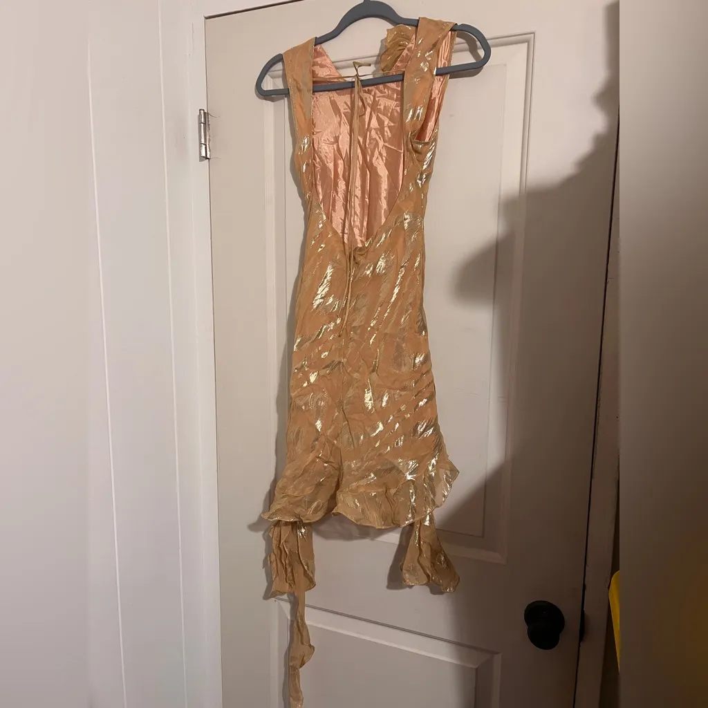 Delfi Collective $468 Anthropologie XS Mini Animal Print Zebra Asymmetric Dress Gold - Image 3