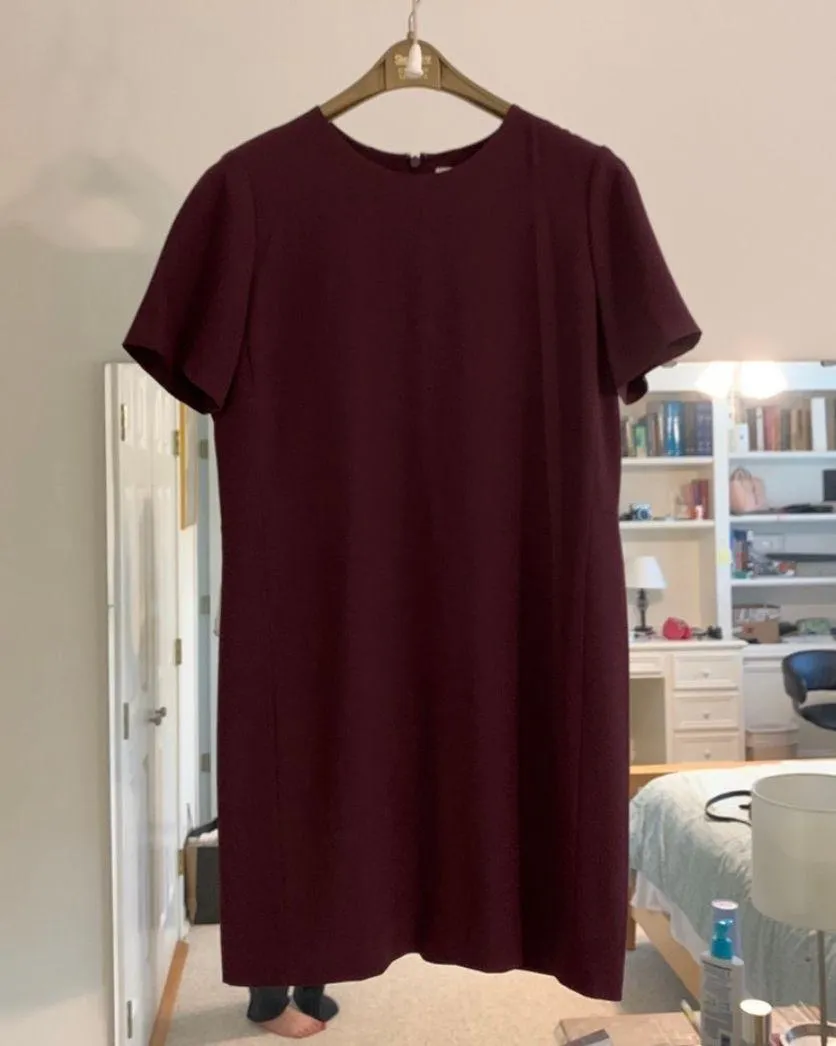 Babaton Red Maroon Patricio Dress - Image 3