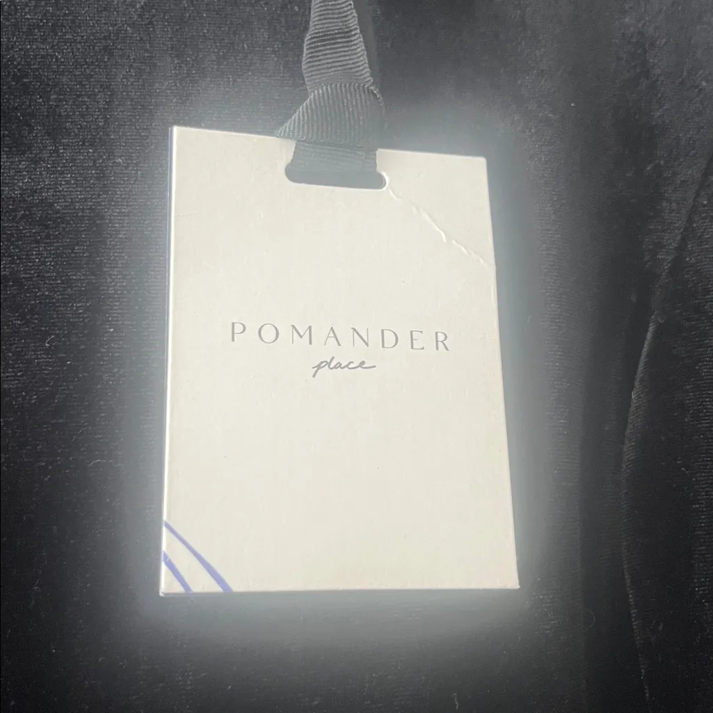 NWT Pomander Place Tuckernuck Velvet Maxi Lilith Dress Black Formal size large - Image 9