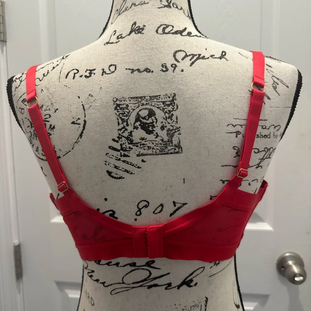 Elegant Pink Raspberry Lace Bra Red Size undefined - Image 5