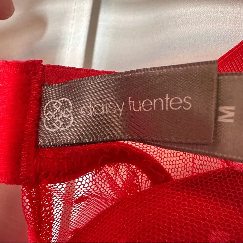 Daisy Negligie Red Sexy Sheer Lace M Babydoll Top Fairy Nightgown Lingerie Y2K - Image 5