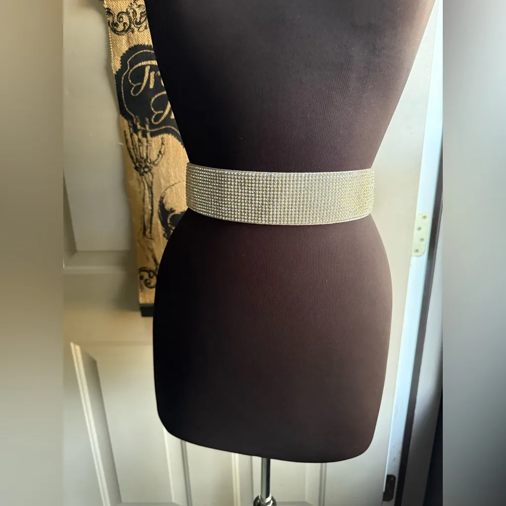 WHBM crystal plated ribbon tie belt, one size NWT - Image 4