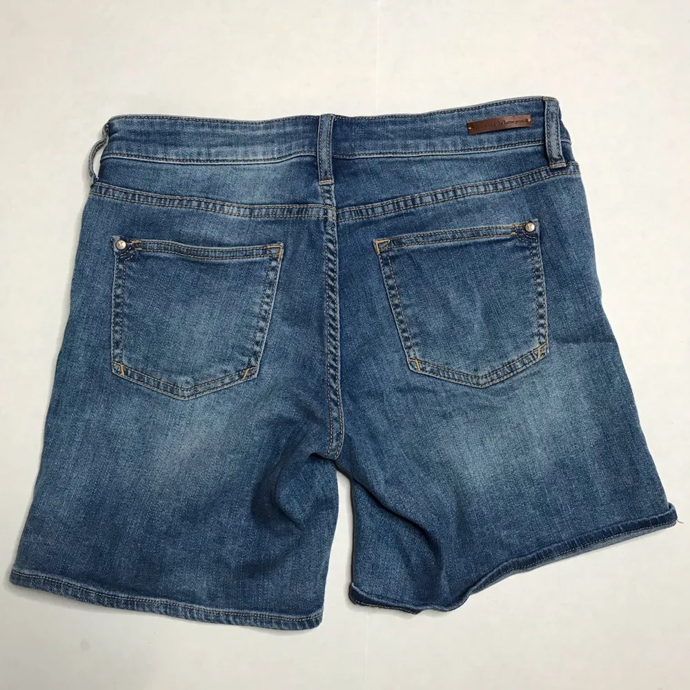 Pilcro and the Letterpress Stet Jean Shorts - Image 4