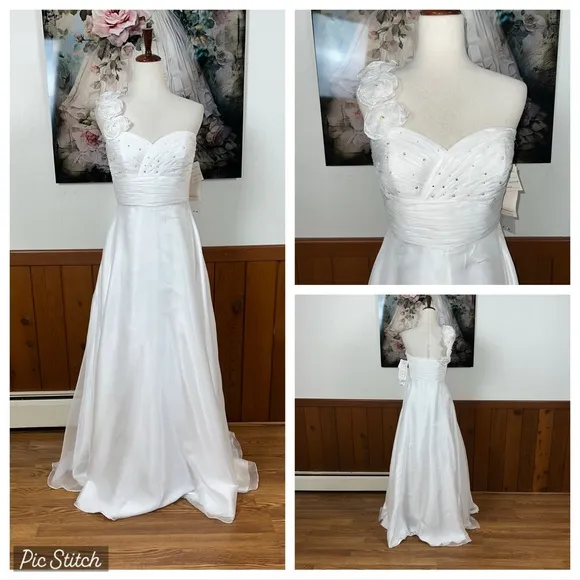 Elegant New Fiesta Organza White One - Image 2