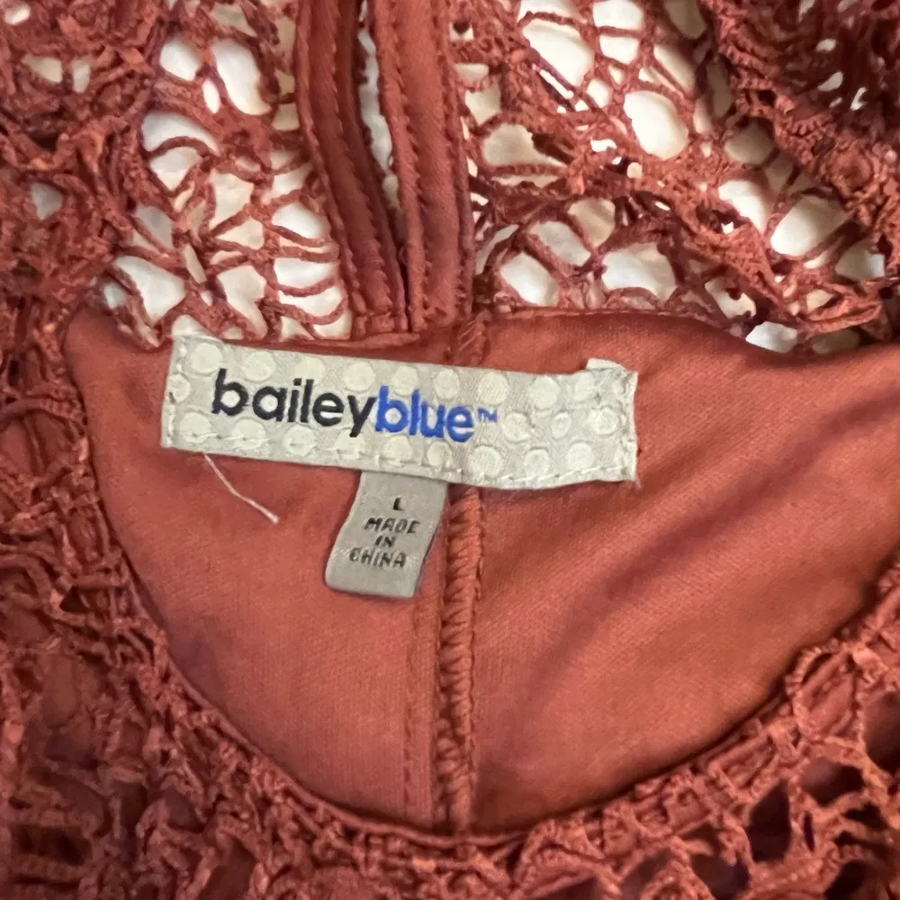 Bailey blu rust dress - Image 3