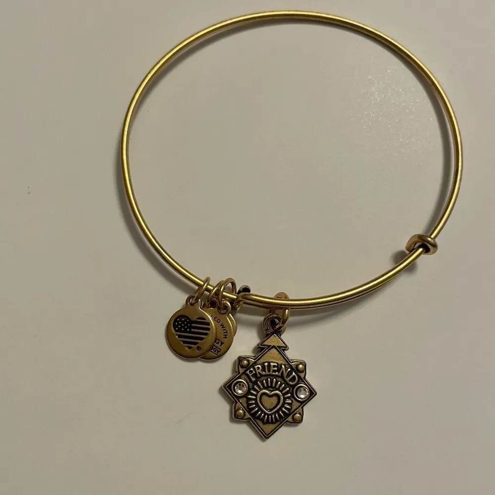 Alex and Ani Friend Charm Bangle Bracelet 2018 - Rafaelian Gold - - Image 2