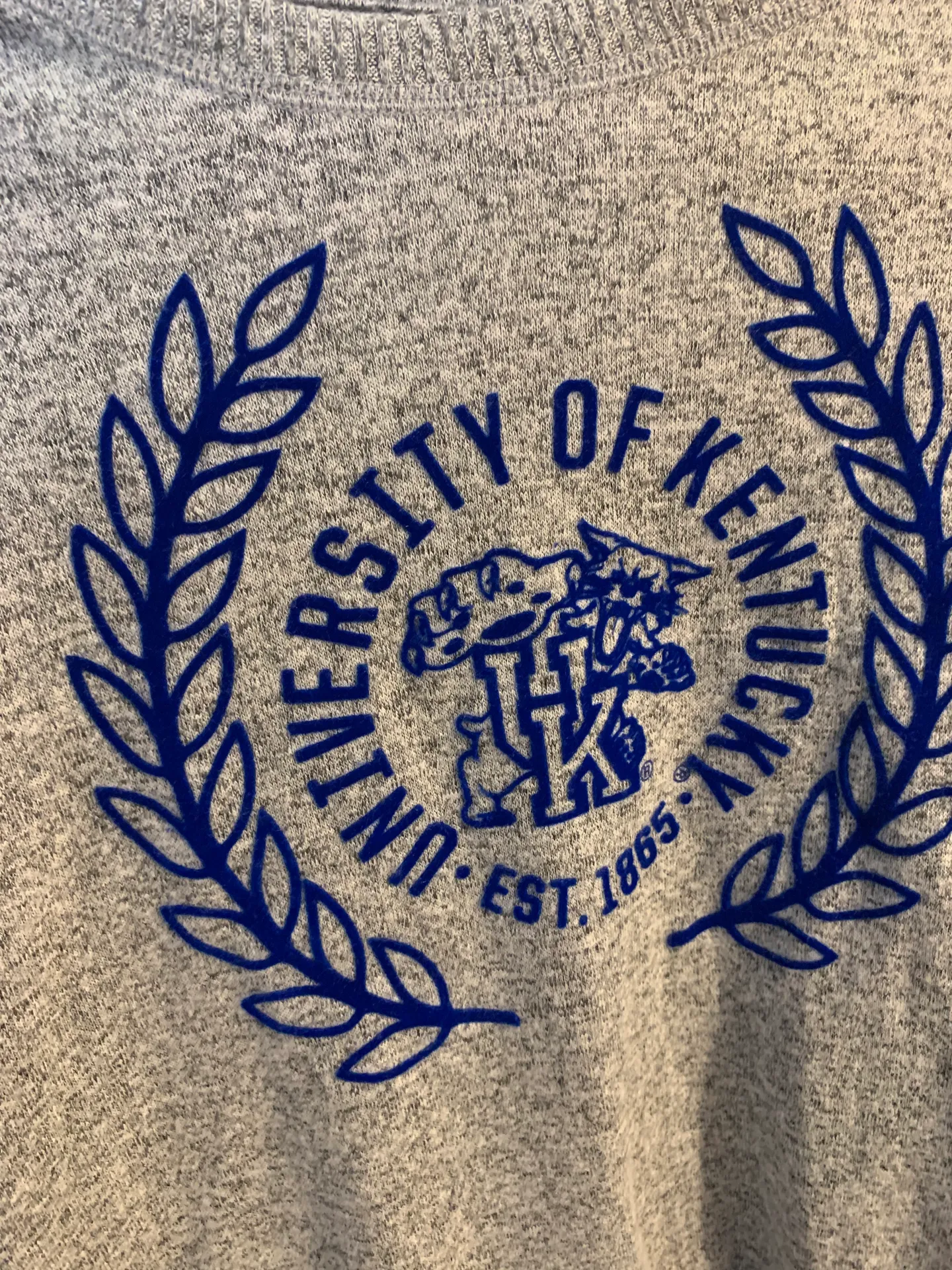 University Of Kentucky Long sleeve Blue - Image 2