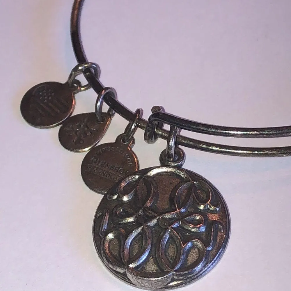 Alex And Ani 2016 Path of Life Eternity Infinity Silver Tone Bangle Bracelet - Image 3