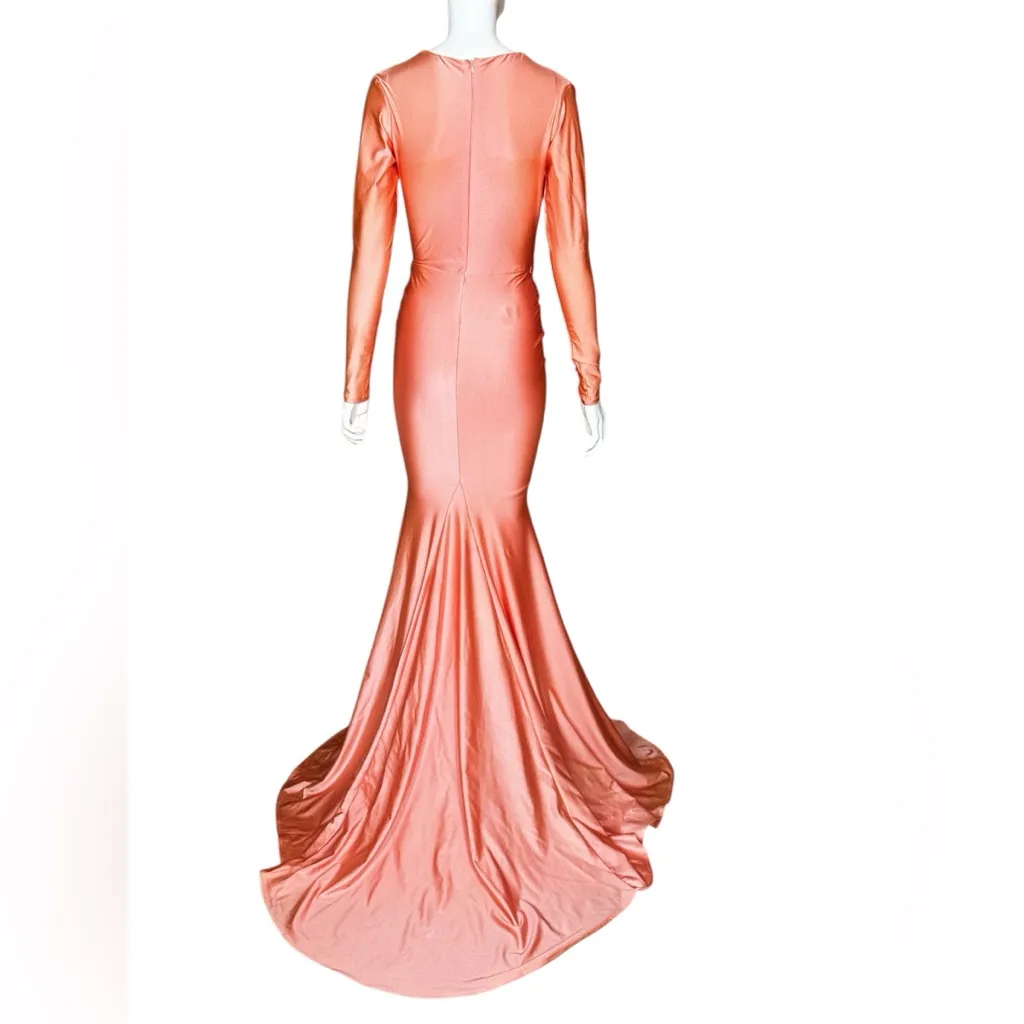 Jessica Angel Formal Gown Maxi Dress - Style 325 Color Roses Size Small. - Image 4