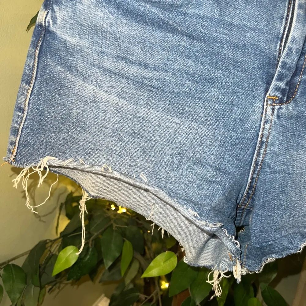 Blank NYC The Astor Sun Rainbow Denim Shorts Size 30 - Image 6