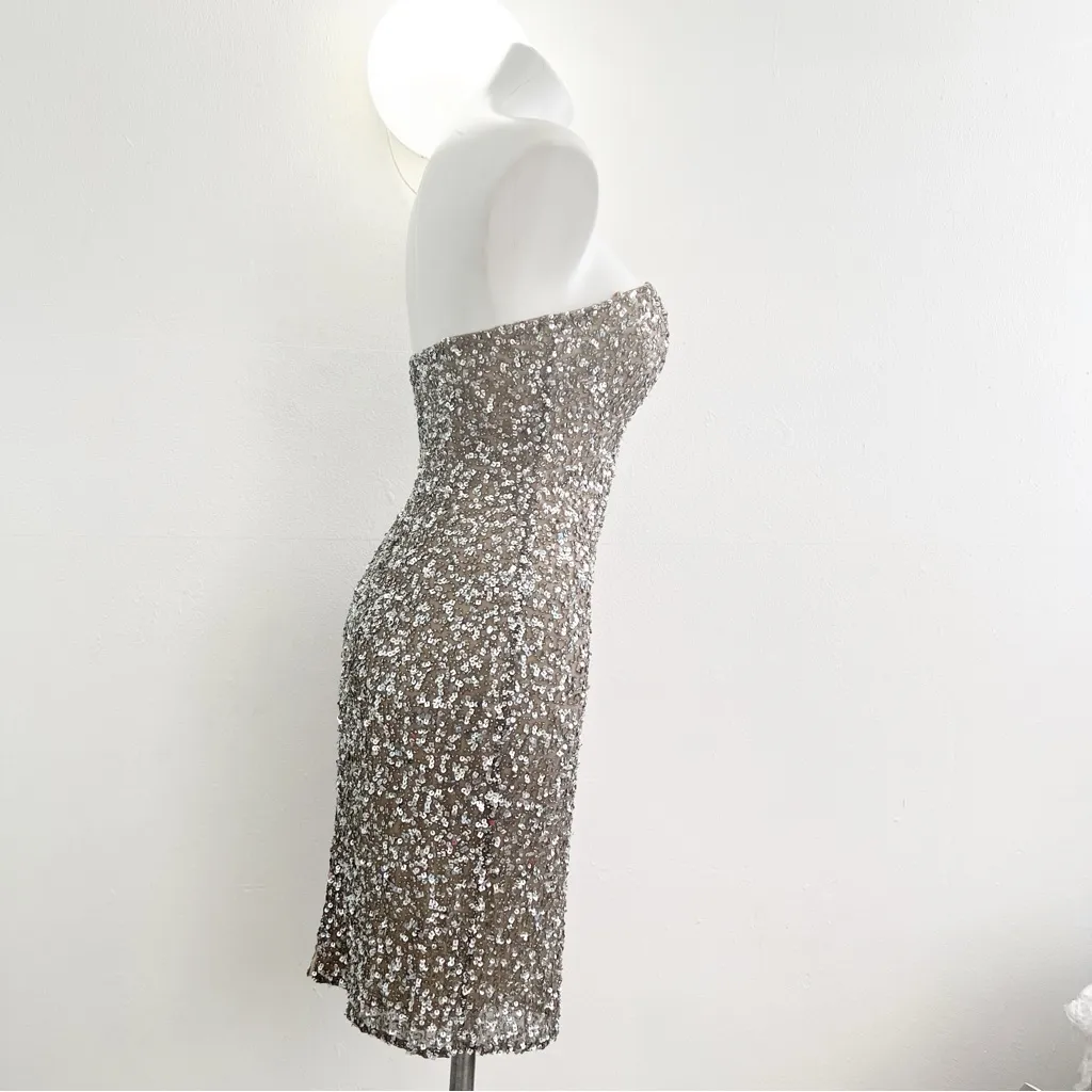 Scala Dress SMALL Silver Nude Strapless Sweetheart Silk Embellished Cocktail NEW - Image 6