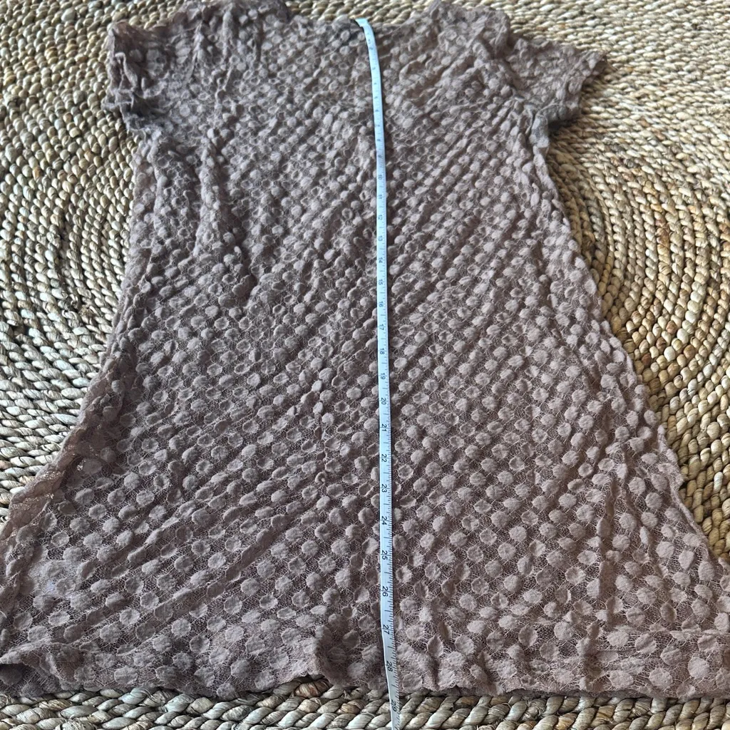 Bobeau Light Brown Sheer Lacey Stretch Top - Image 7