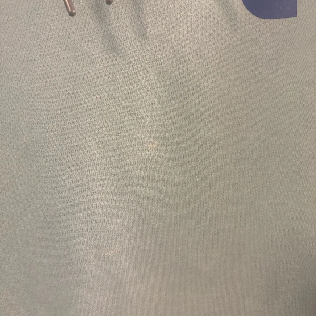 Carhartt Size Large Mint Green Hooded Sweatshirt - Image 4