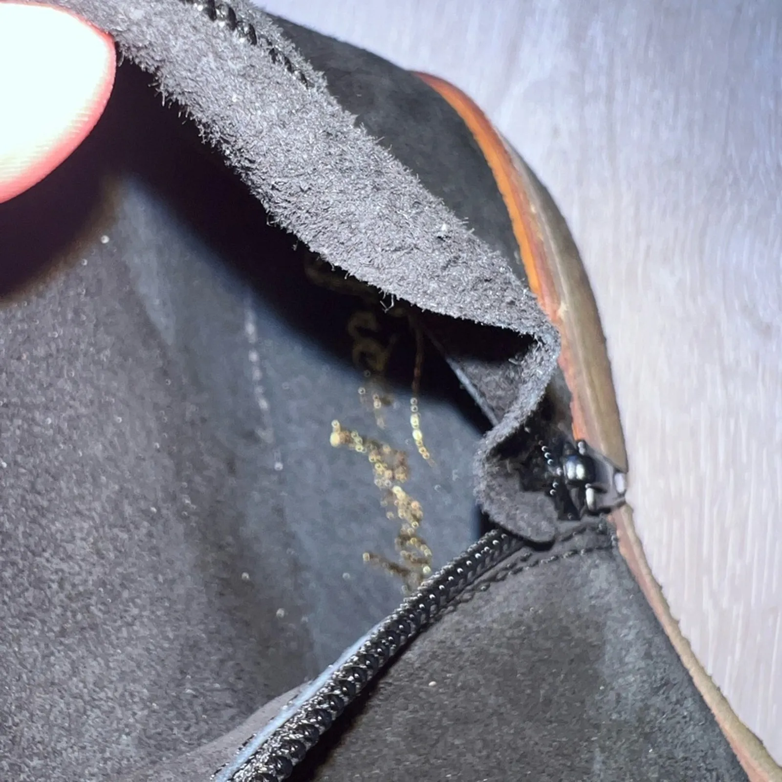 Free People Banks Over the Knee Slouch Boots - New without Box sz 37.5 Black - Image 4