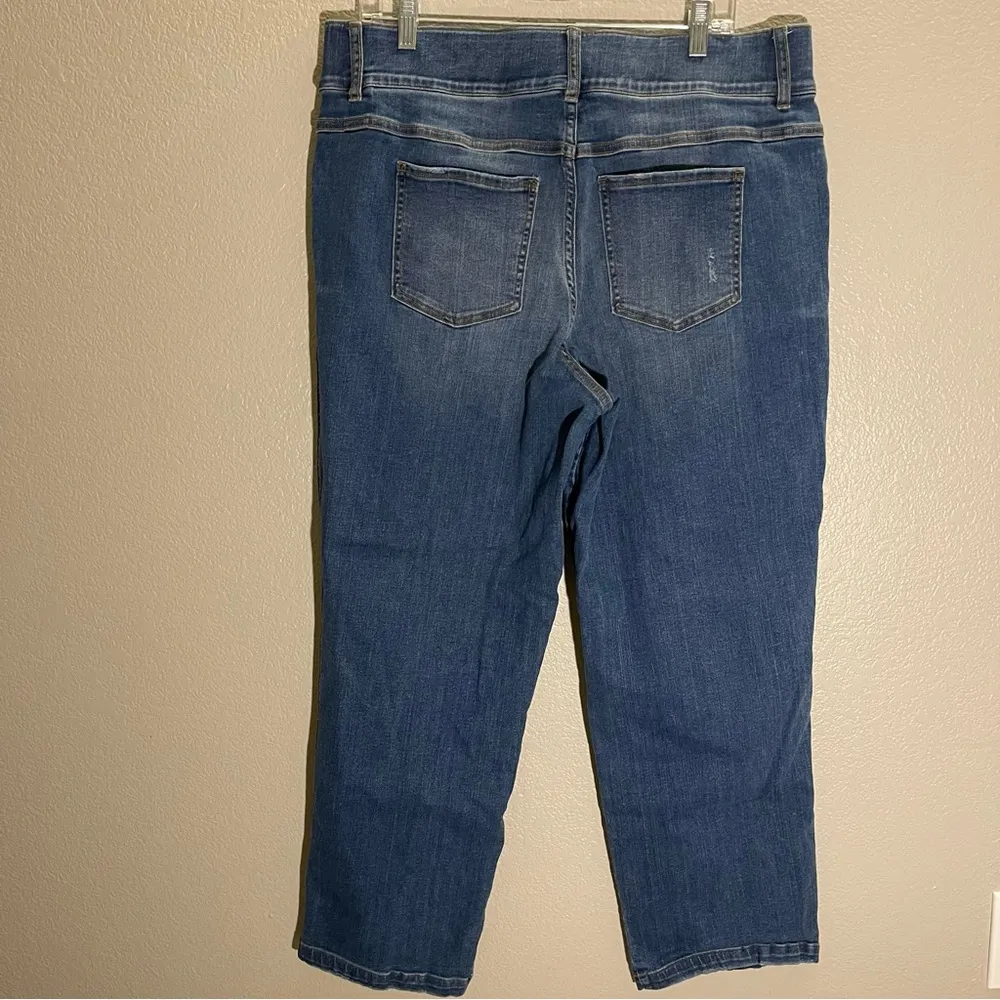 Spanx Straight leg jeans SZ 2X - Image 4