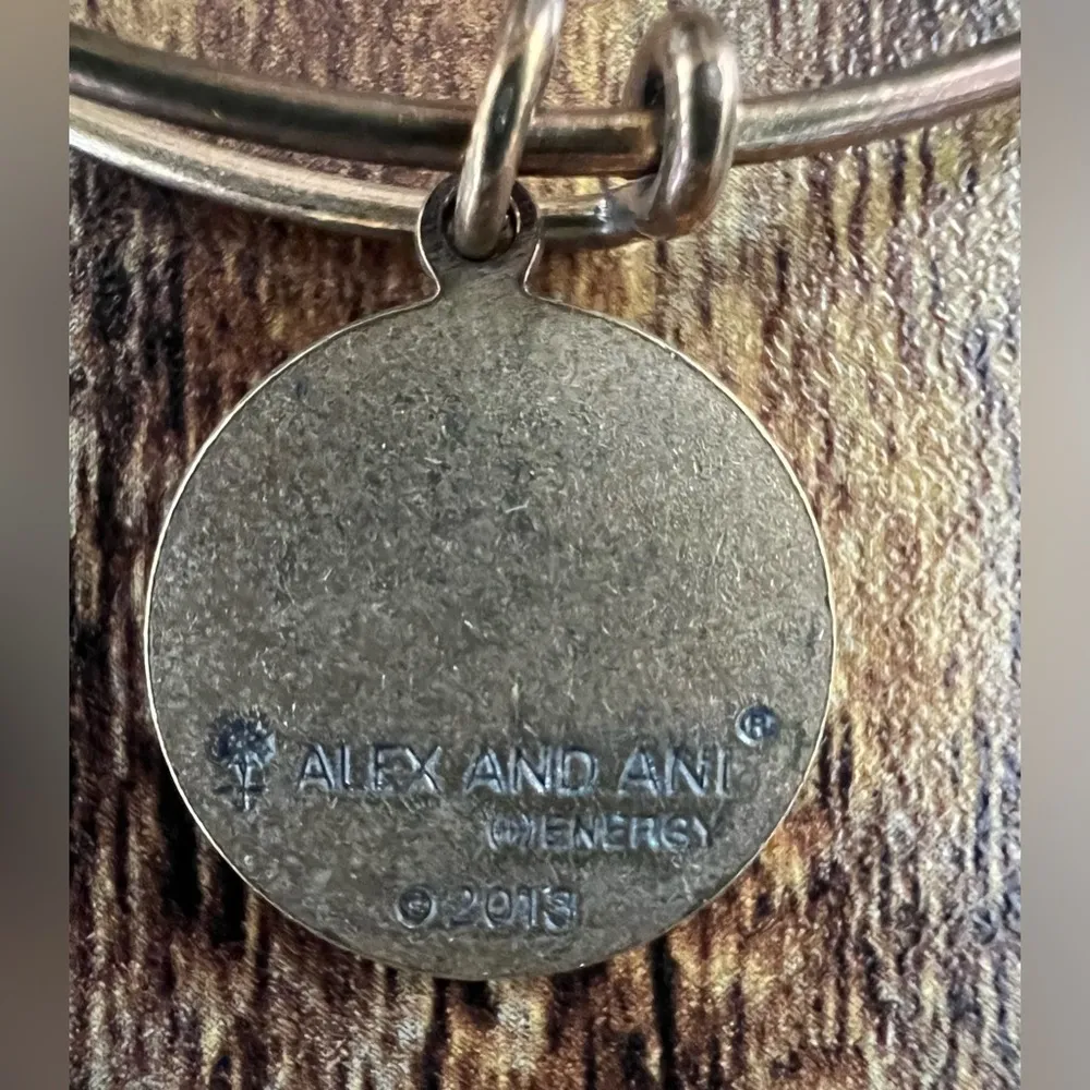 ALEX AND ANI  | Lighthouse, Expandable Rafaelian Bangle Bracelet. - Image 9