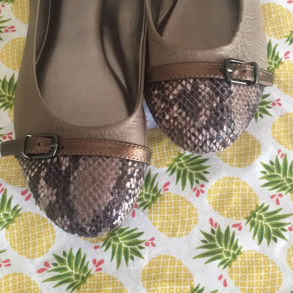 EUC Women’s Sofft Python Tipped Ballet Flats Size 8 - Image 3