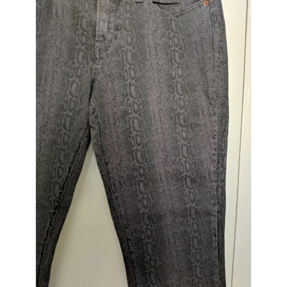 Lucky Brand Charlie Skinny Jeans - Sz 12/31 - EUC - Image 4