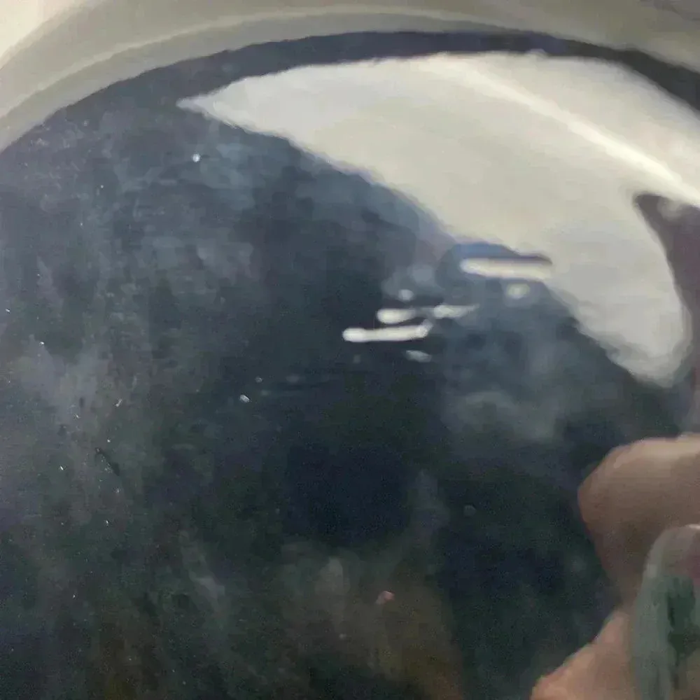 UNBRANDED FUN ROUND BLACK PATENT VEGAN LEATHER LOOK PURSE SILVER CHAIN - Image 12