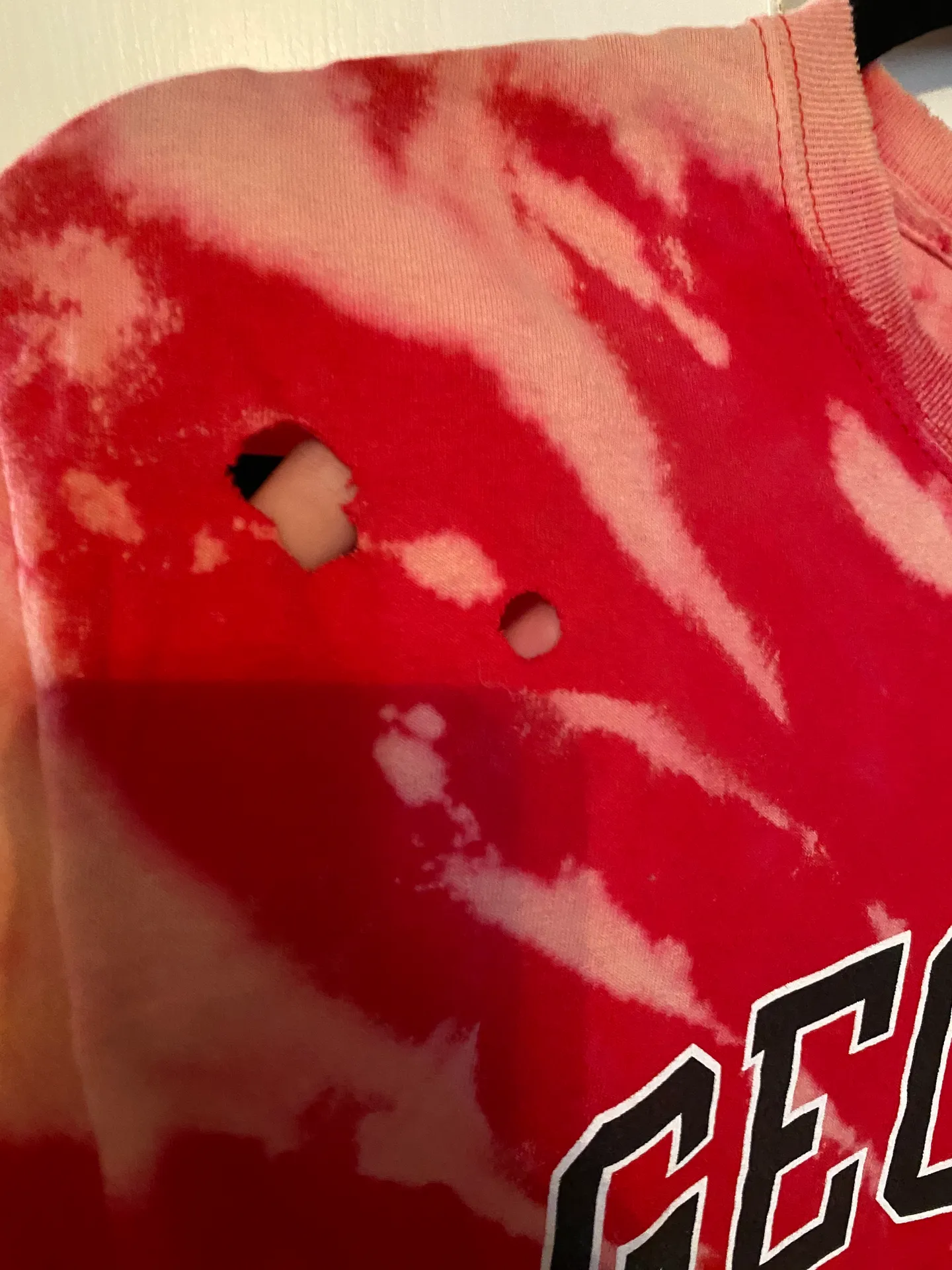 Champion Uga Bleached Tee  - Image 4