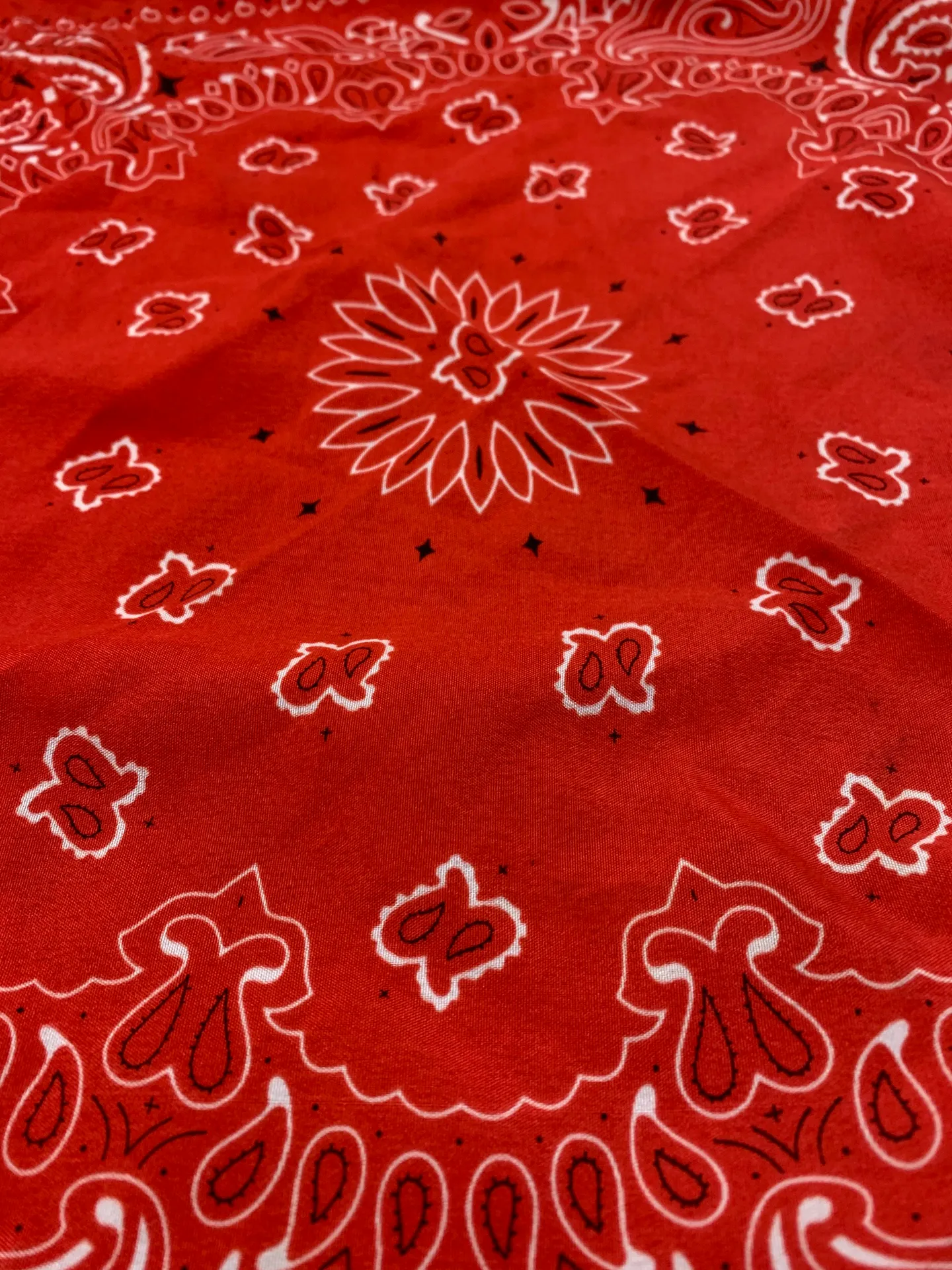 Red Bandana - Image 6