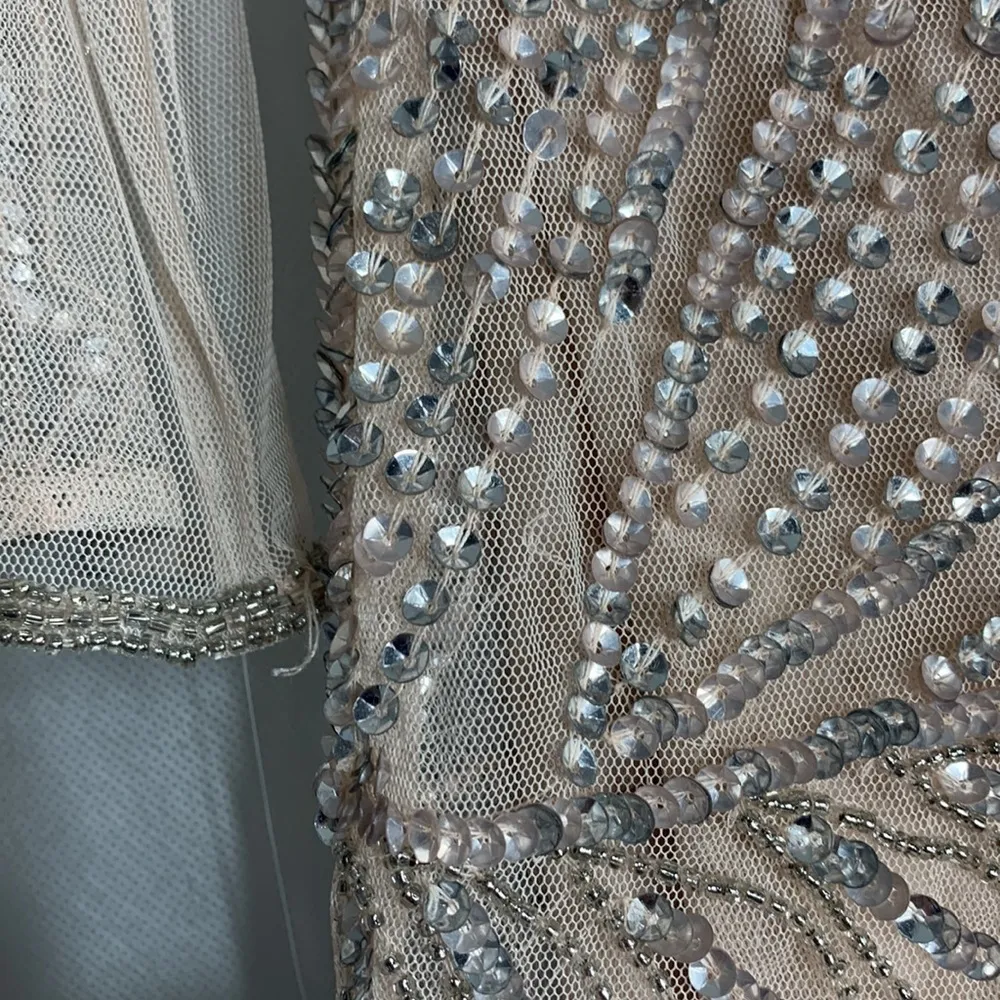 Pisarro Nights D1545 Embellished Mesh Gown Size 6P - Image 12