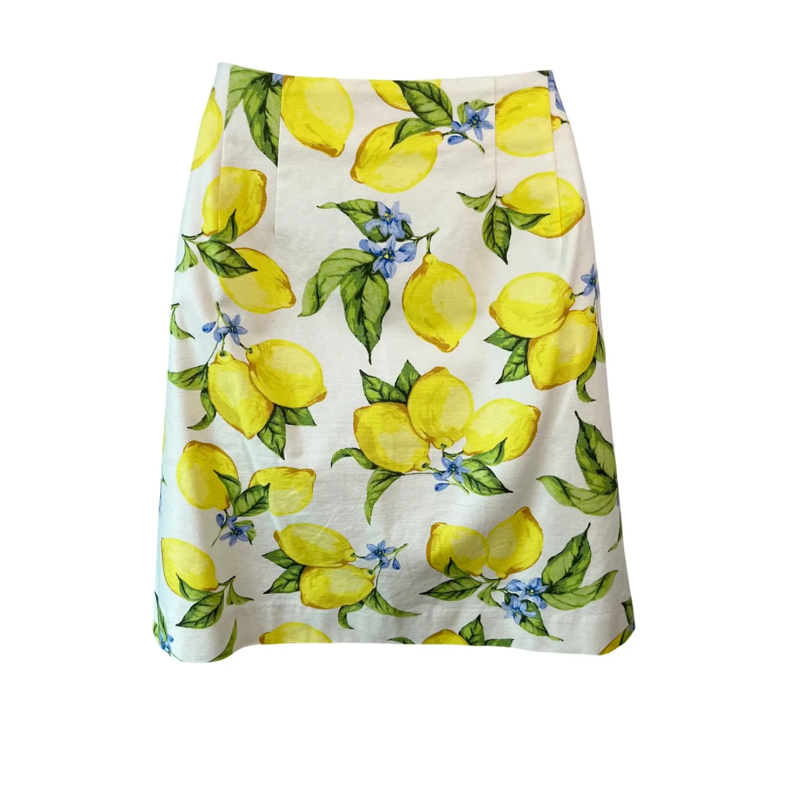 Talbots Lemon Blossom Canvas A-Line‎ Skirt Size 4 - Image 5