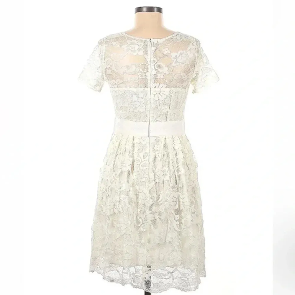 BB Dakota Retro Ivory Lace Adrift on a Cloud Fit & Flare Dress Size 6 Small - Image 3