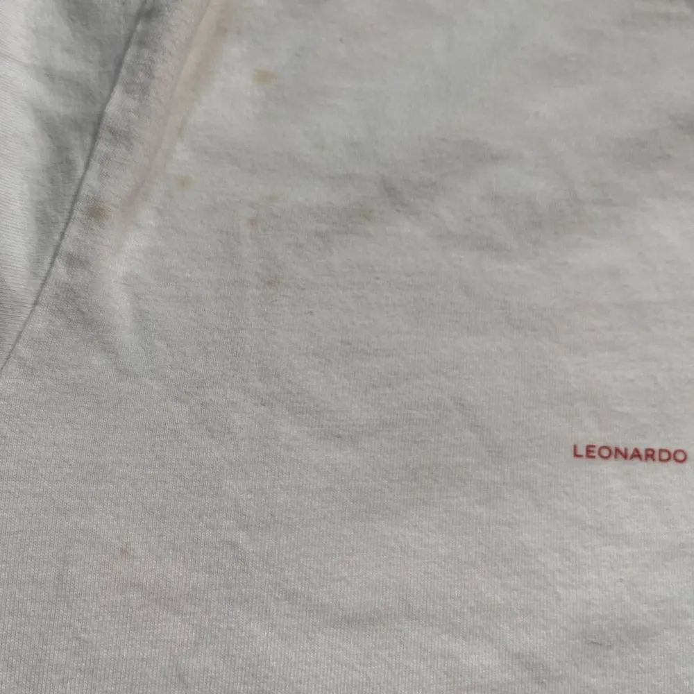 Uniqlo da Vinci muse de louvre Mona Lisa portrait t shirt style size large - Image 5