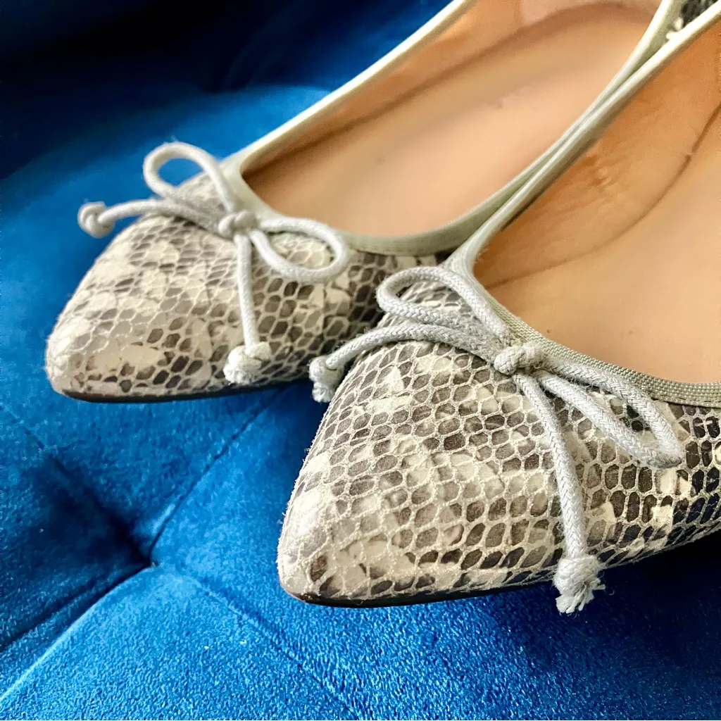 Banana Republic snakeskin embossed flats - Image 3