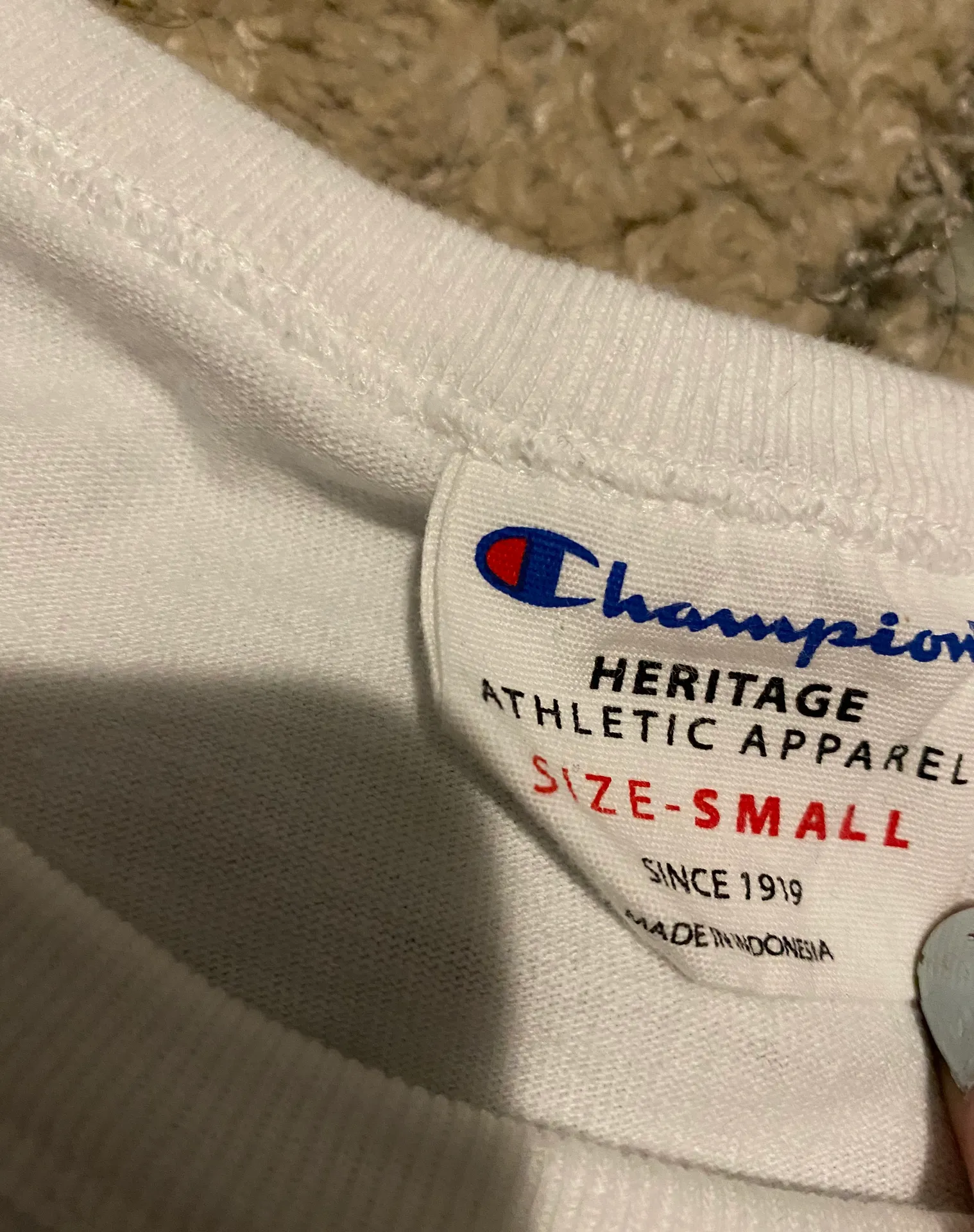 Champion Crop Top - Image 4