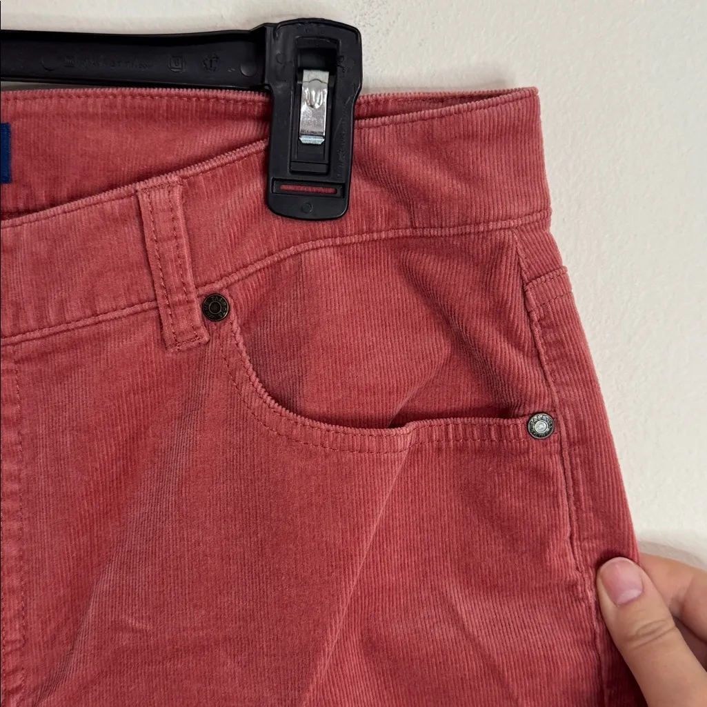 Talbots Terracotta High-Waist Straight-Leg Curvy Petite Corduroy Jeans size 10p - Image 5