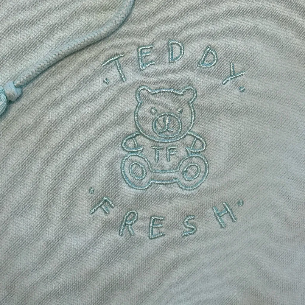 Teddy Fresh pastel colorblock softgirl skater grunge streetwear hoodie logo LG - Image 4