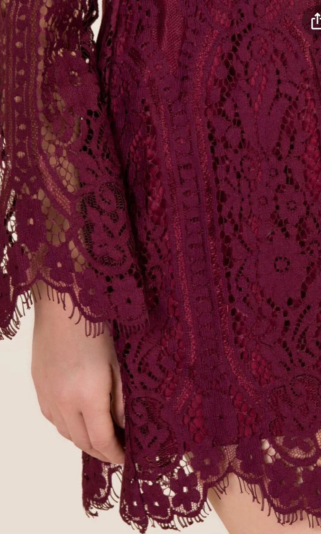 Francescas Burgundy Carson Lace Shift Dress NWT! - Image 3