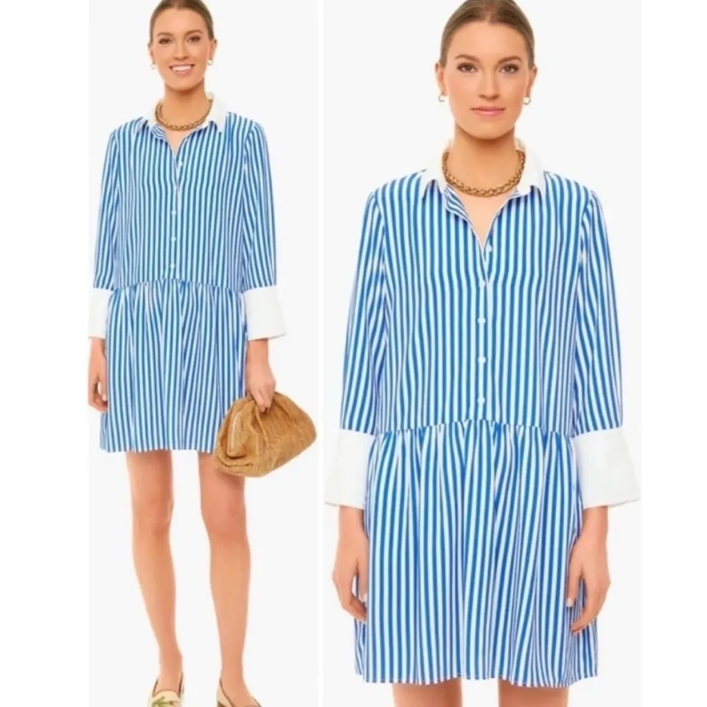 Tuckernuck Hayes Blue and White Striped Long Sleeve Shirt Dress | S - Image 2