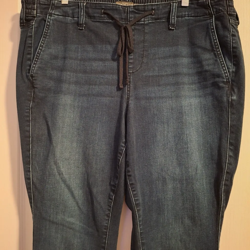 Torrid Sz 2R Women's Blue Jeans - Image 11