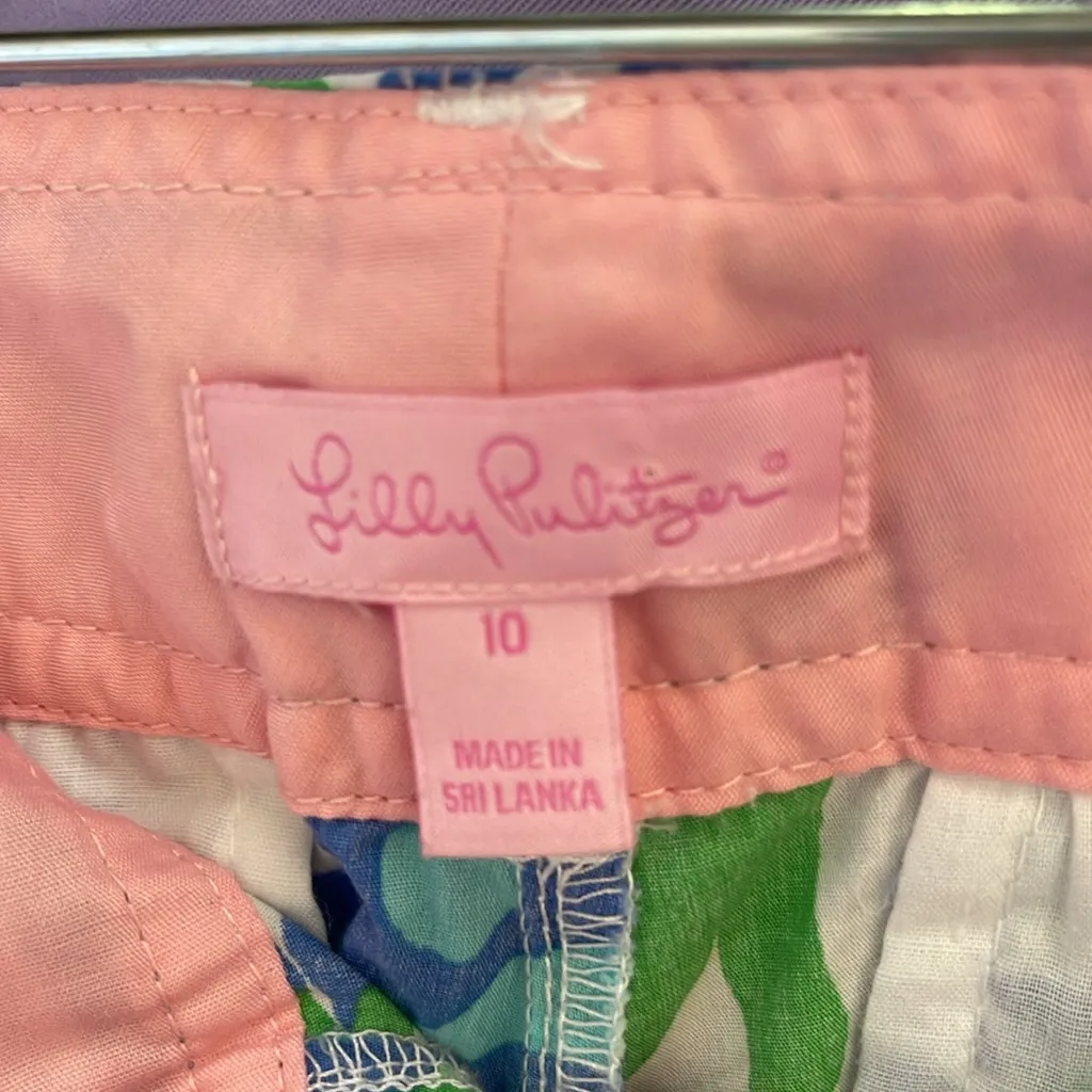 Lilly Pulitzer Shorts Callahan Shorts size 10 Bee in Your Bonnet Print - Image 5