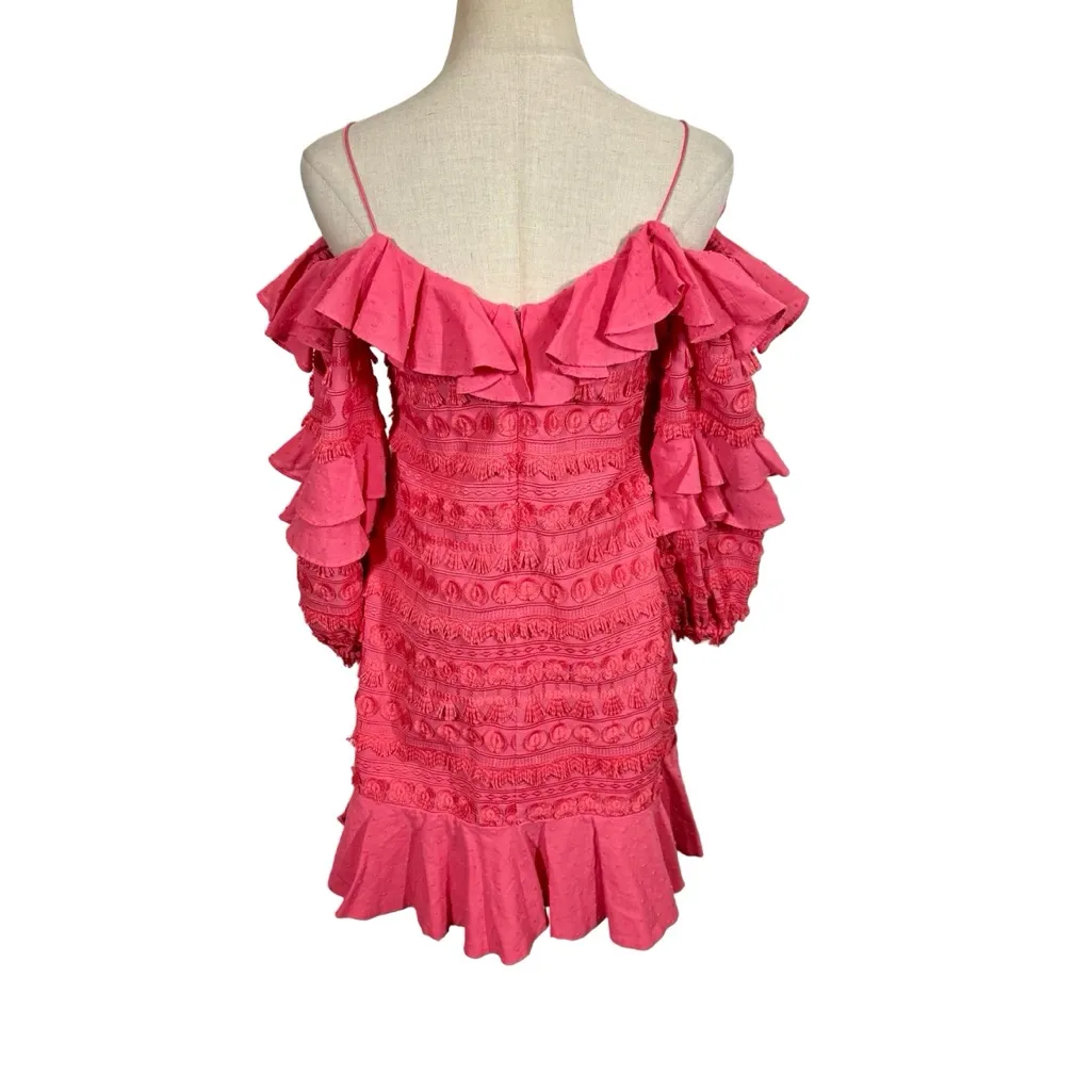 ALEXIS Calypso Ruffled Embroidered Fringe Party Dress in Rouge - Image 9