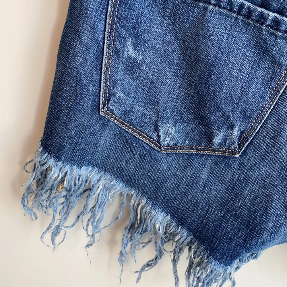 Vervet Flying Monkey Fringed Distressed Jean Shorts - Image 60