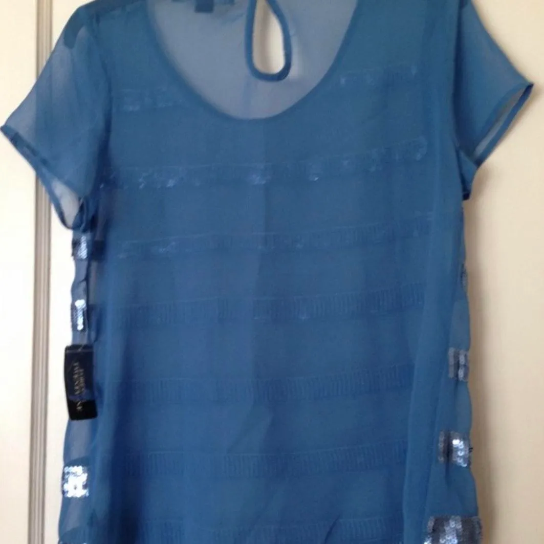 Stripped Blue Sequin Chiffon Short Sleeve Top - Image 4