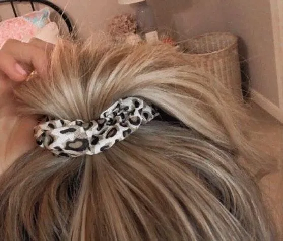 These Three Boutique Chiffon Leopard Print Scrunchie - Image 2
