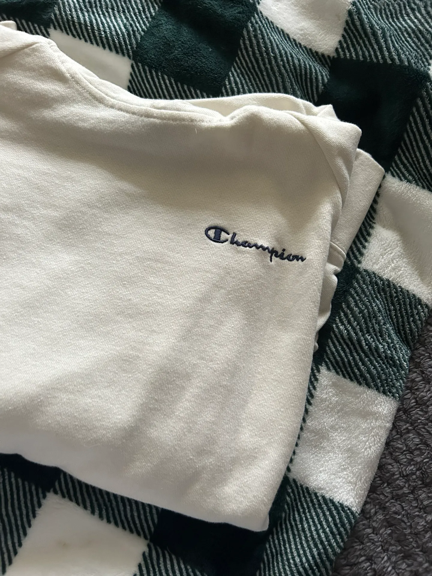 Champion Hoodie - Image 3