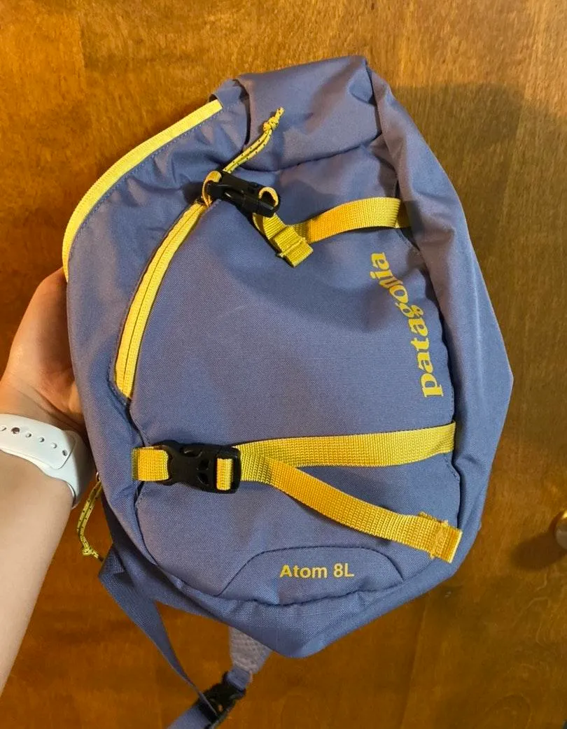Patagonia Sling Bag - Image 3