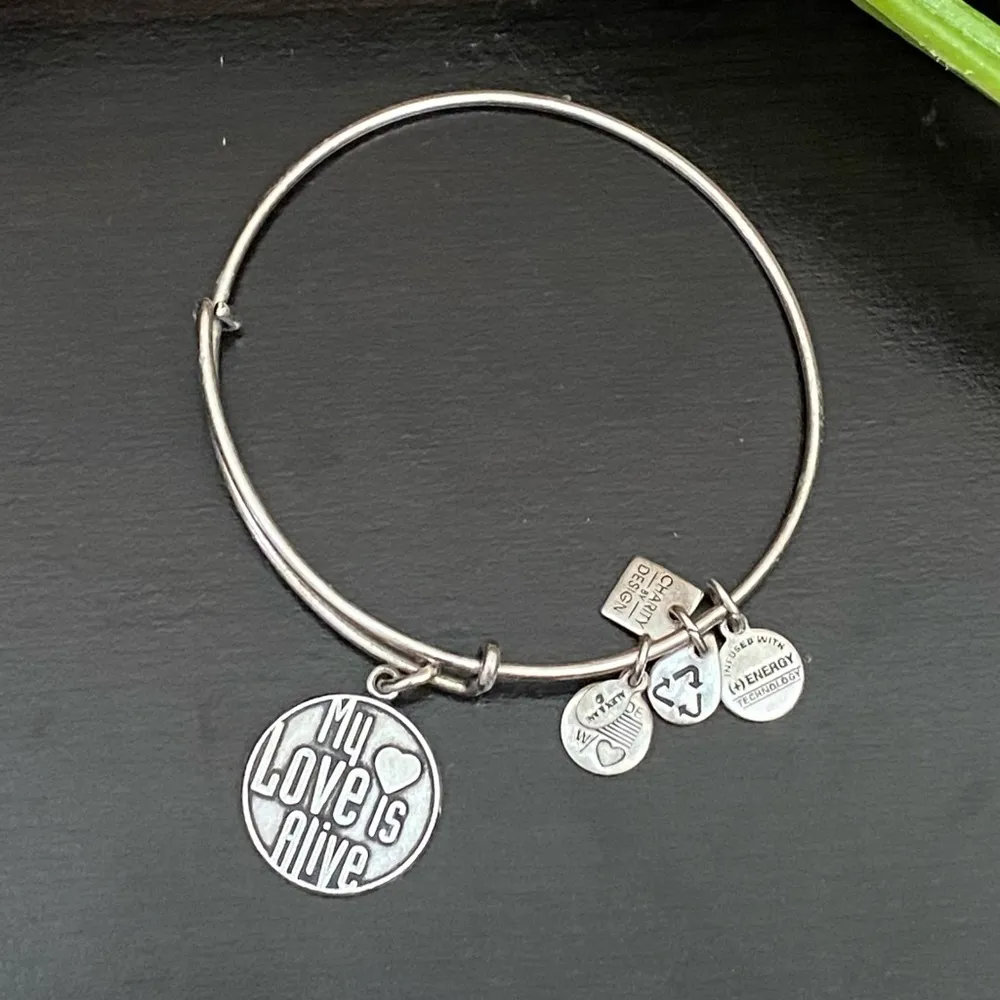 ALEX and ANI July Birthstone Ruby Charm Bangle Bracelet - Image 2