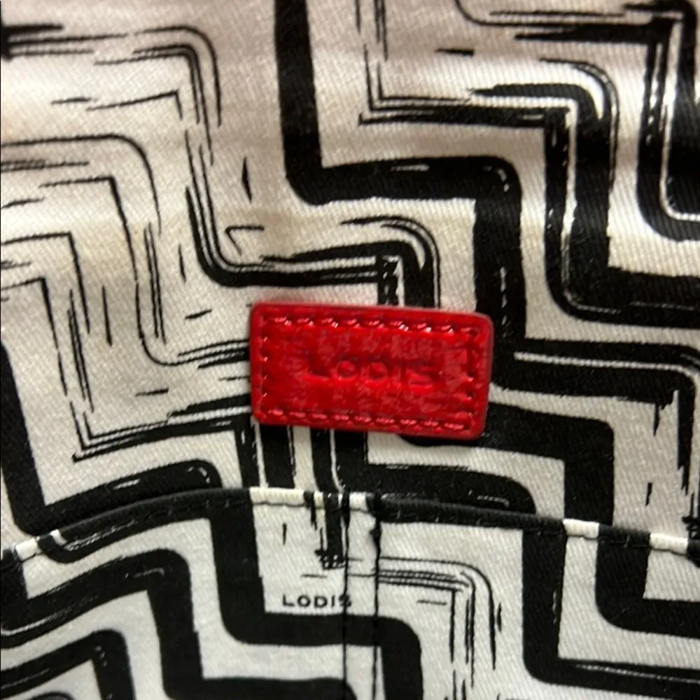 Lodis Red Crossbody Bag with Quilted Texture and silver clasp - Image 8